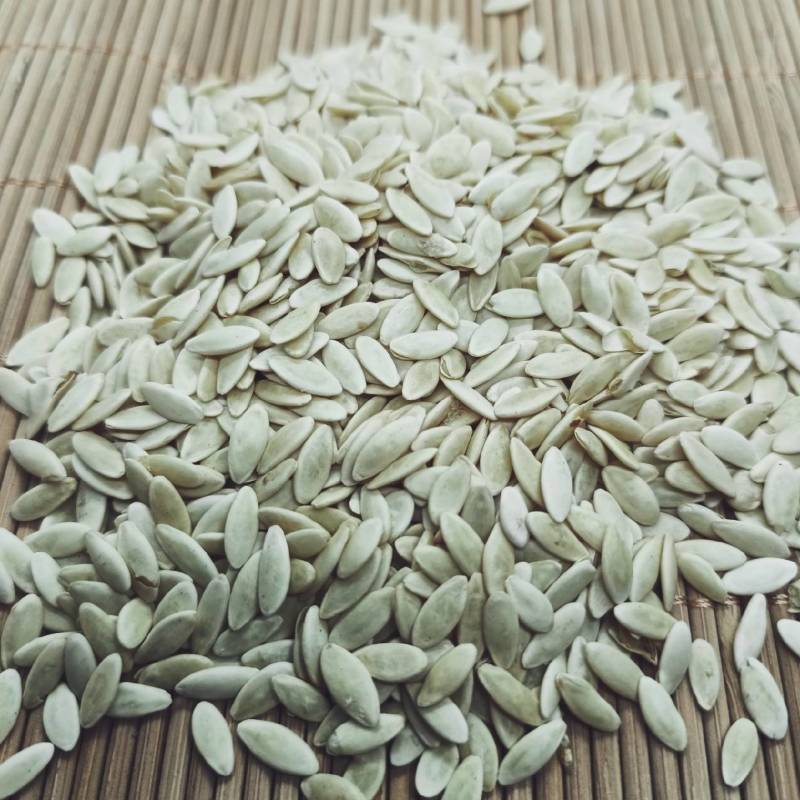 泻叶番泻叶各种中药材养生花茶批发诚信经营地道药材