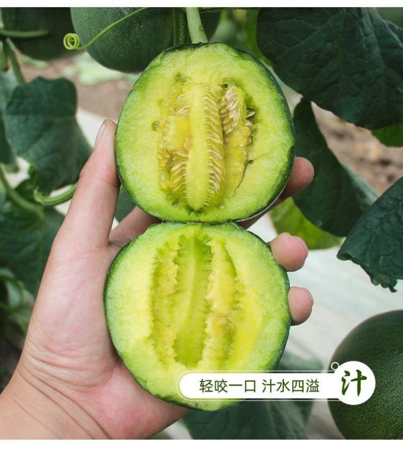 绿宝甜瓜5斤时令新鲜水果当季绿宝石甜瓜脆甜香瓜多省包邮