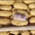 精品土豆V6V7希森海暑全国发货价格合理量大从优