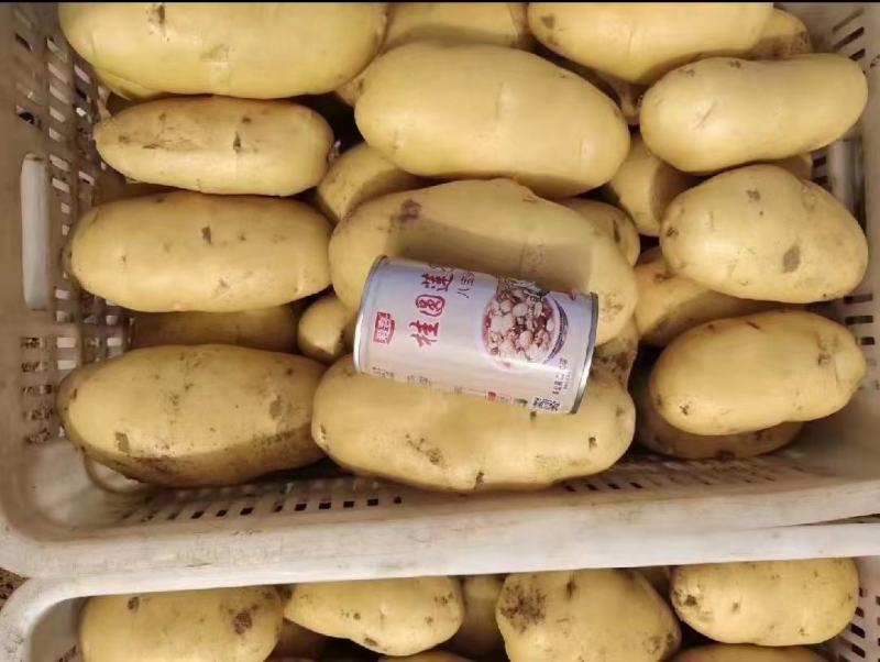 精品土豆V6V7希森海暑全国发货价格合理量大从优