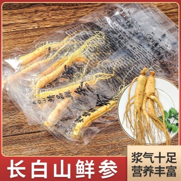 鲜参真空包装长白山保鲜参泡酒参东北特产新鲜人参煲汤补品
