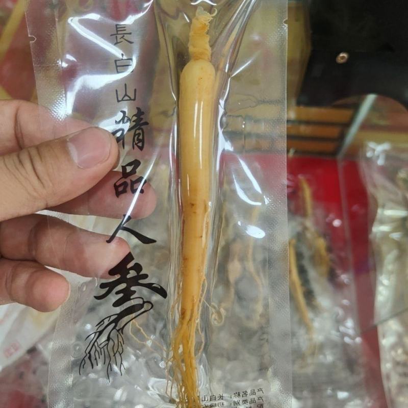鲜参真空包装长白山保鲜参泡酒参东北特产新鲜人参煲汤补品
