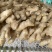 生姜玉黄大姜大量现货，量大从优欢迎来电洽谈合作