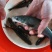 重庆潼南淡水养殖场黄骨鱼欢迎各位老板前来光临