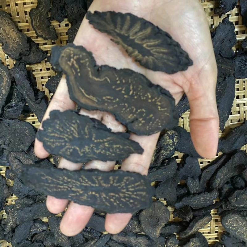 肉苁蓉/大芸切片足干片无硫磺，切片