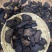 肉苁蓉/大芸切片足干片无硫磺，切片