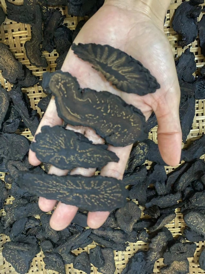 肉苁蓉/大芸切片足干片无硫磺，切片
