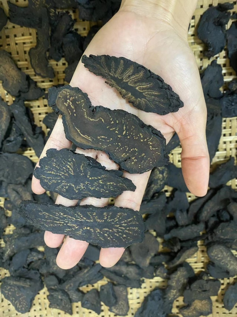 肉苁蓉/大芸切片足干片无硫磺，切片