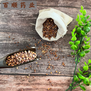 莱菔子无杂质净货中药材批发零售耔类