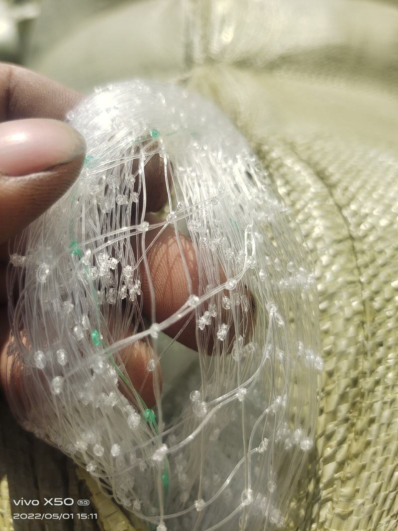 防鸟网