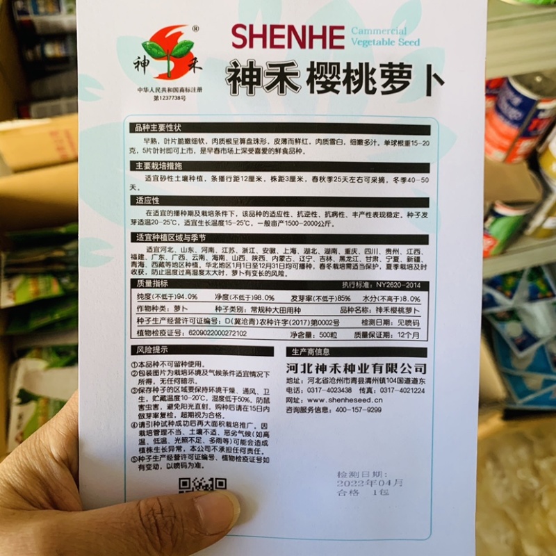 神禾樱樱桃萝卜种子早熟小型萝卜种子皮薄而鲜红四季萝卜