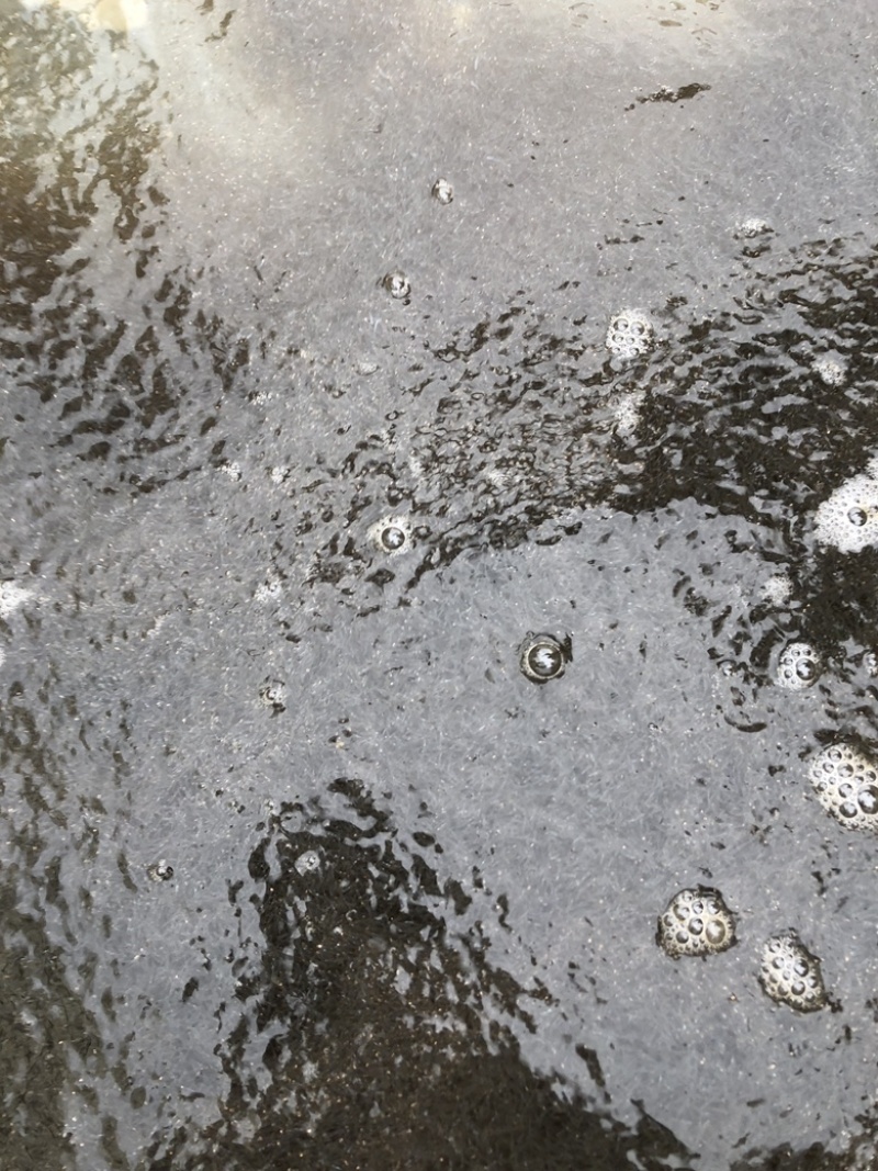 【推荐】精品鲫鱼水花保证数量可发班车专线物流量大