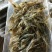 河虾草虾青虾小虾