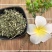 透骨草批发各种中药材质量保证各种草类齐全