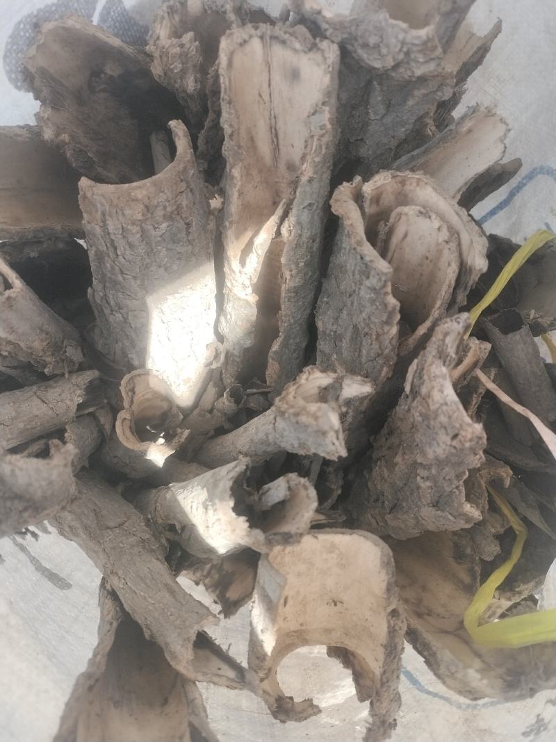 中药材杜仲皮产地直销！质量好