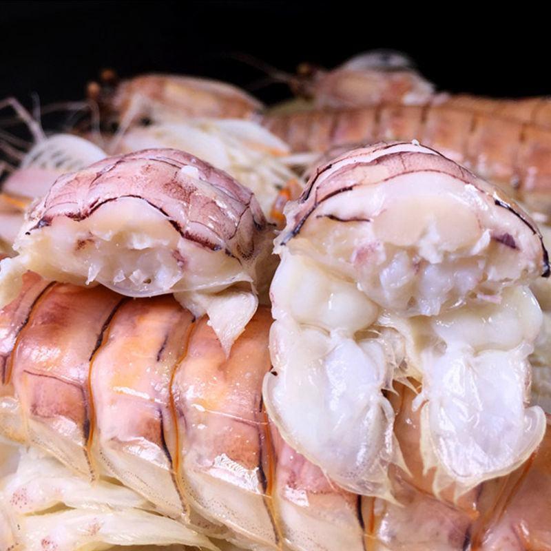 东海皮皮虾鲜活包邮蒸熟即食海鲜水产海虾琵琶虾爬子新鲜小濑