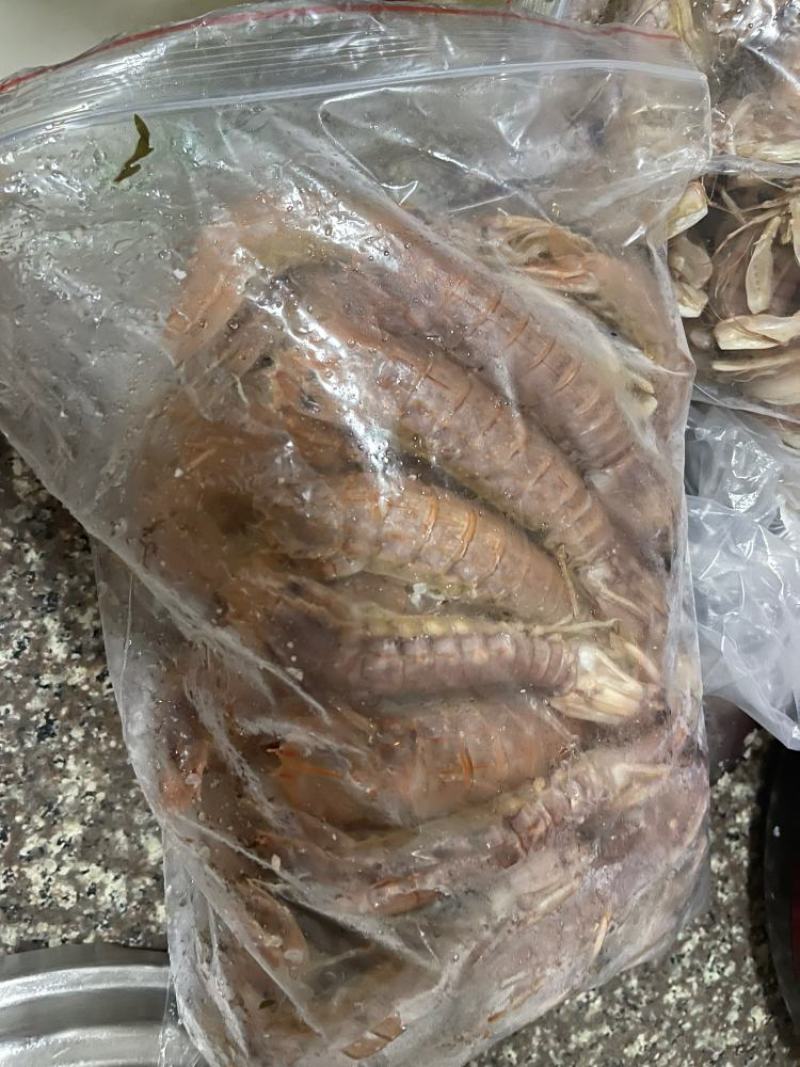 东海皮皮虾鲜活包邮蒸熟即食海鲜水产海虾琵琶虾爬子新鲜小濑
