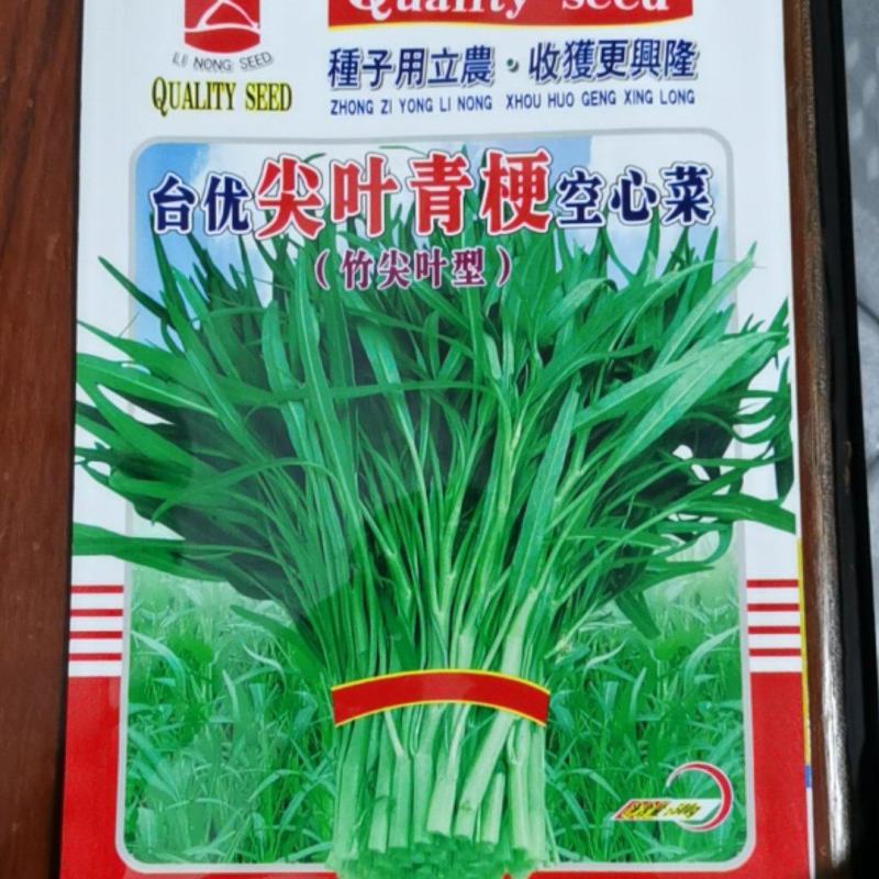 尖叶青梗空心菜种子—竹尖叶型-生长快