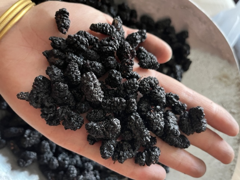 【文斌药业】桑葚自然风干干药食两用颗粒饱满个头大