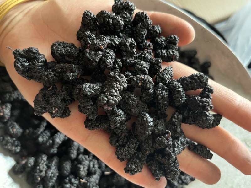 【文斌药业】桑葚自然风干干药食两用颗粒饱满个头大