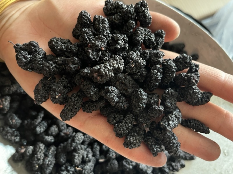 【文斌药业】桑葚自然风干干药食两用颗粒饱满个头大
