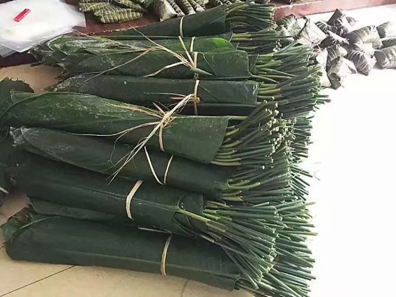 大量供应粽子叶冬叶