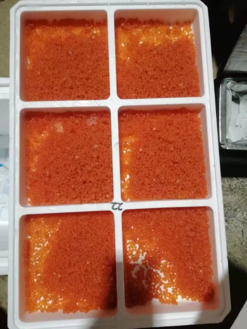 三文鱼海水工厂化养殖