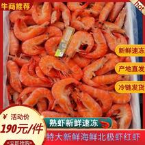 红虾全规格新鲜速冻干冰南美虾红虾甜虾熟虾10斤