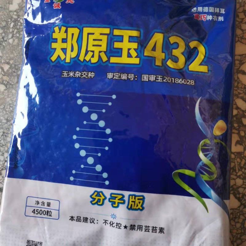 郑源玉432高密植分子版强扛到免控高抗锈病大户专用。。。