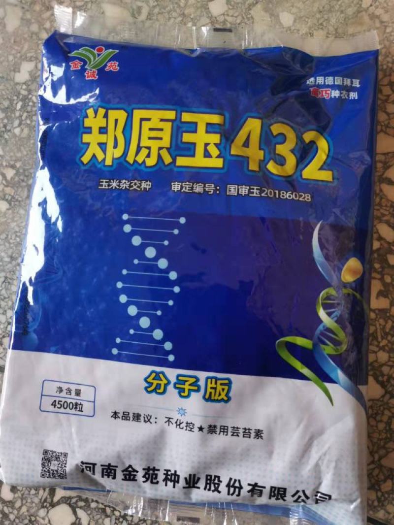 郑源玉432高密植分子版强扛到免控高抗锈病大户专用。。。