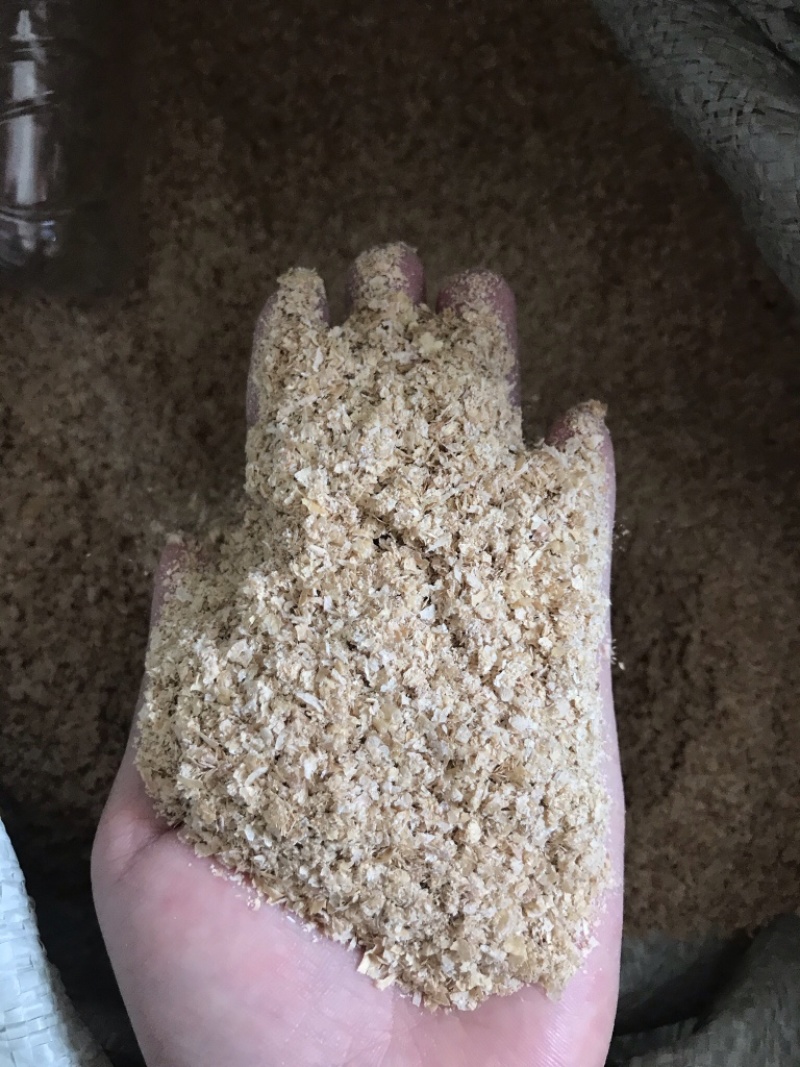 大片麦麸皮，粗麸皮，细麸皮，混合麸，牛羊鸡鸭鹅