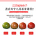 一件代发碱地柿子铁皮柿子批发采购