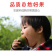 一件代发碱地柿子铁皮柿子批发采购