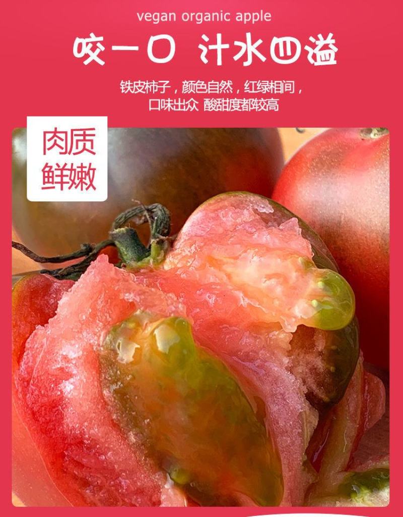 一件代发碱地柿子铁皮柿子批发采购