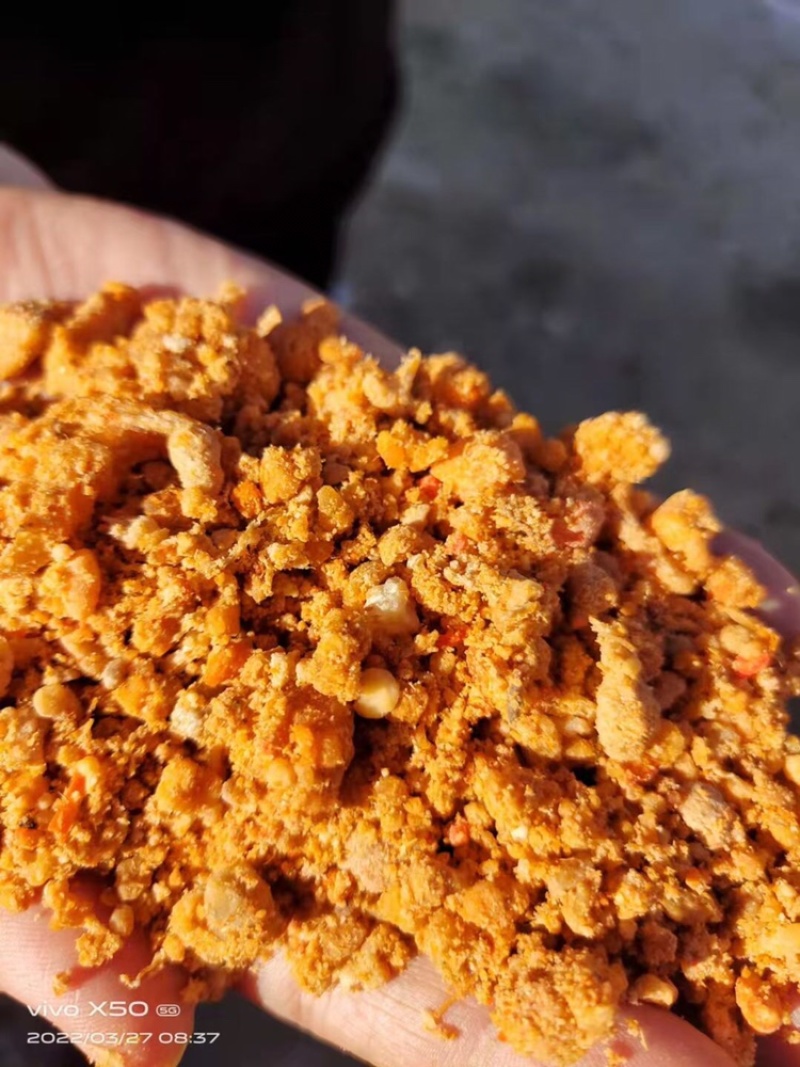 肯德基油渣用于饲料添加养殖猪牛羊鸡鸭鹅使用欢迎选购