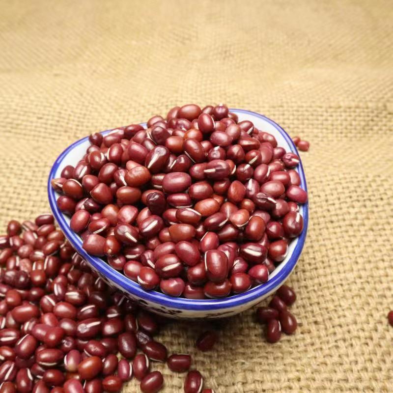 红小豆大量批发东北大粒小粒红小豆五谷杂粮袋装50斤