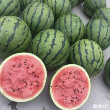 出售美都西瓜，新鲜可口，自家种的便宜卖