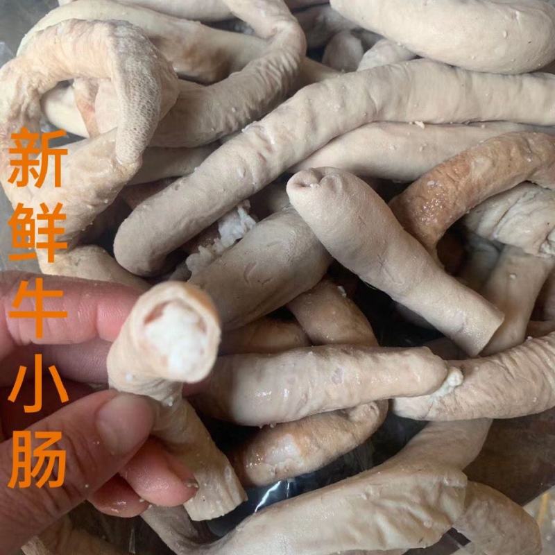 牛圆肠40斤装新鲜冷冻牛肠商用餐饮牛肠半熟牛小肠牛大肠