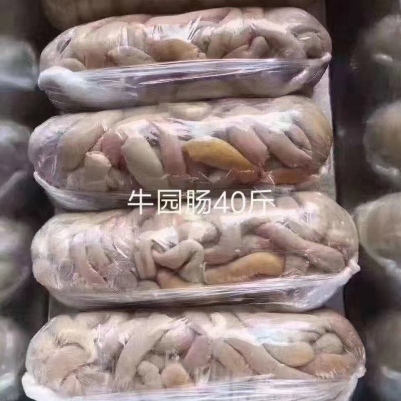 牛圆肠40斤装新鲜冷冻牛肠商用餐饮牛肠半熟牛小肠牛大肠