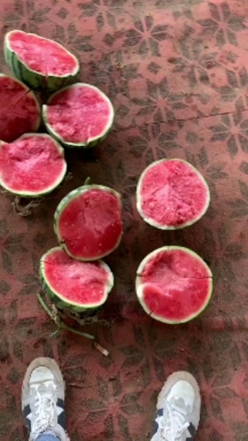 电商麒麟西瓜产地直发一手货源有籽和无籽麒麟西瓜4-8斤