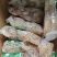 牛鞭花半成品新鲜冷冻火锅店红烧火锅配菜酒店特色私房菜
