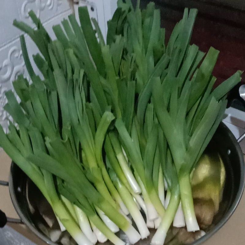 【精选】甘肃红根蒜苗现货大量供应可视频看货欢迎咨询