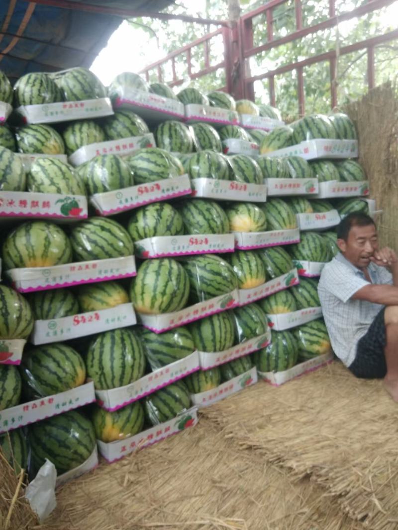 宜城精品麒麟美都，高糖度，小薄皮，产地大量上市，全国发货
