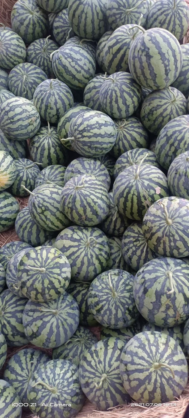 宜城精品麒麟美都，高糖度，小薄皮，产地大量上市，全国发货