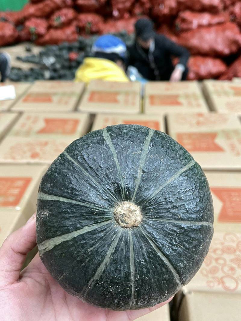 正宗惠和贝贝南瓜粉糯细腻吃一口越吃越想包粉包面