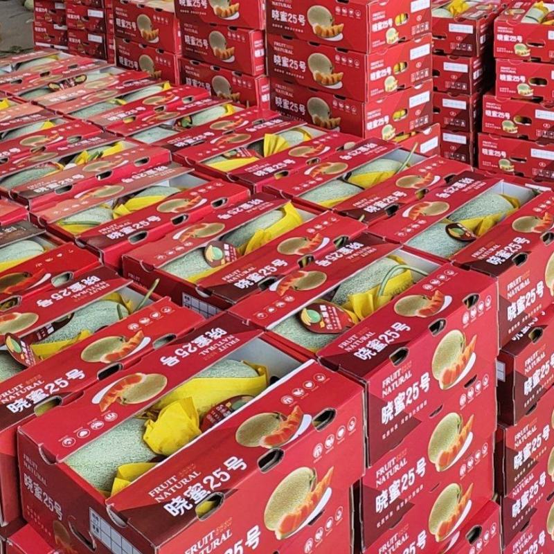 黄皮甜瓜，久红瑞黄皮甜瓜，九红瑞，黄皮甜瓜，产地直供，