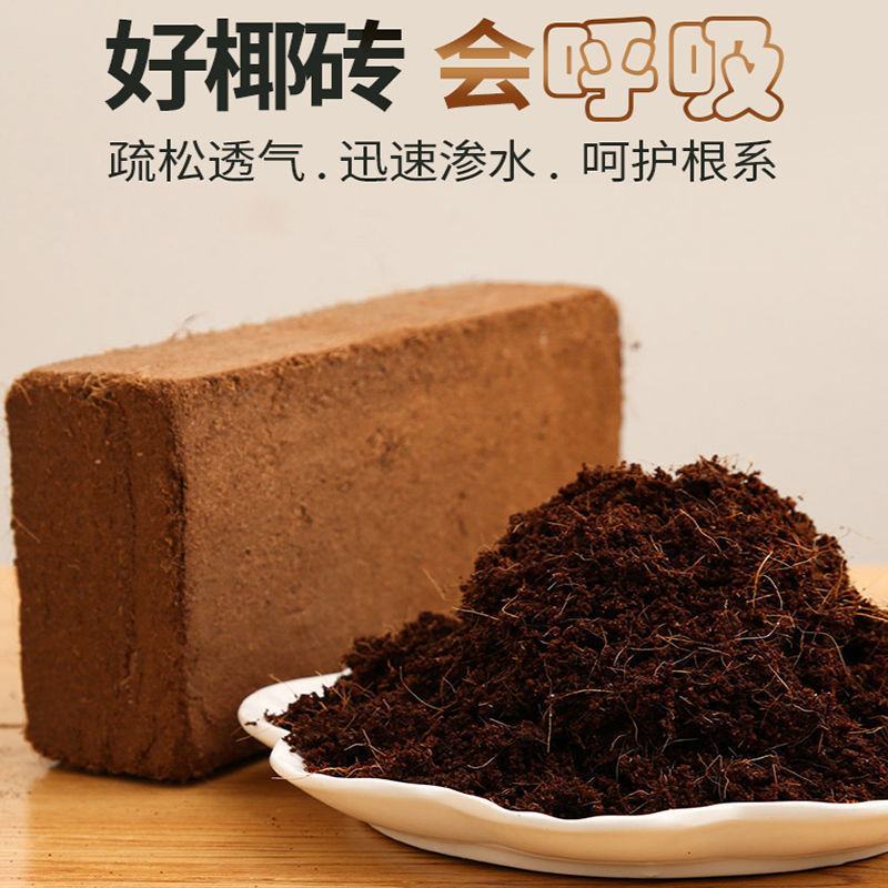 椰砖营养土批发通用型椰土壤椰糠粗椰壳种花养花种菜种植大块