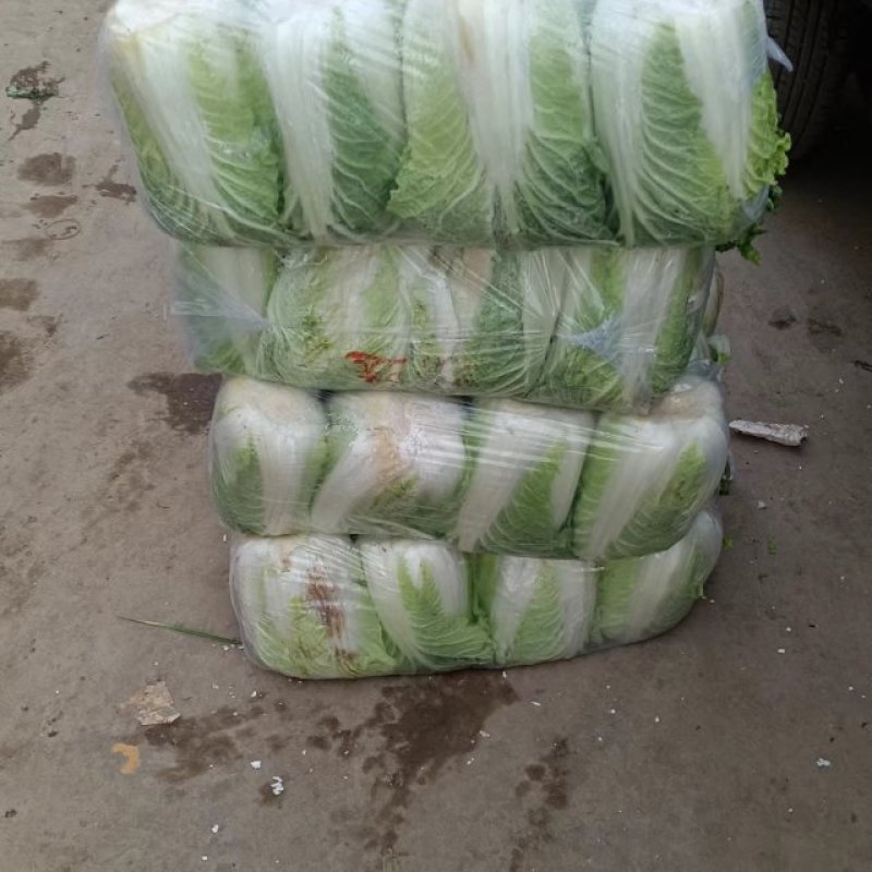 娃娃菜，个头匀称叶绿心黄，新鲜