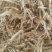 柔丝玉米草甘肃西域胜陇源草业大捆一捆400公斤玉米草