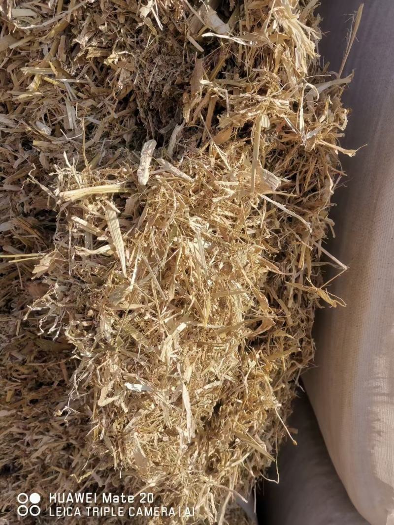 柔丝玉米草甘肃西域胜陇源草业大捆一捆400公斤玉米草